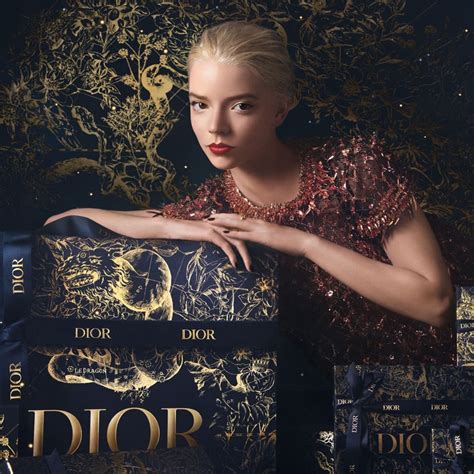 dior makeuo p ad campaign fall 2006|christian Dior women.